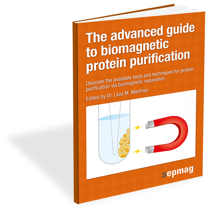 sepmag_portada_3d_biomagnetic_protein.jpg