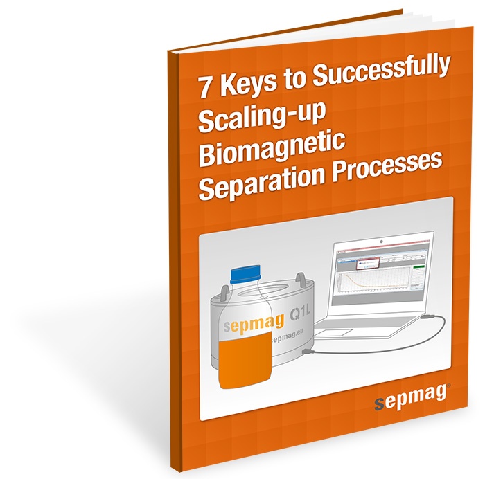 Sepmag_Portada_3D_7keys_Successfully_Scaling-up.jpg